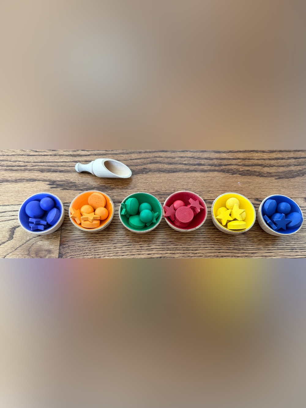 Wooden Color Sorting Bowls & Shapes Montessori Learning Toy Set